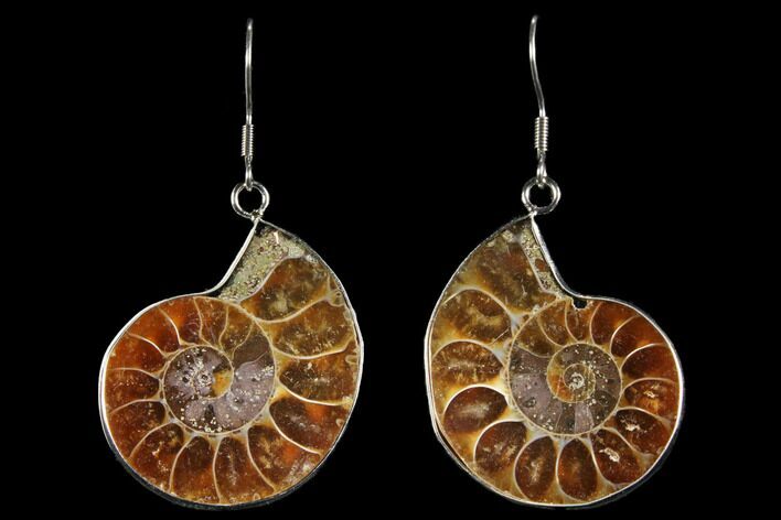 Fossil Ammonite Earrings - Million Years Old #112225